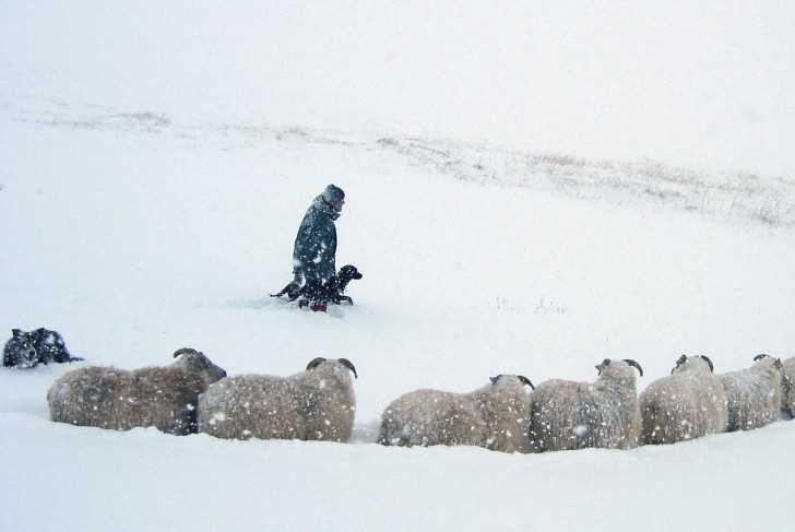 Photo: Icelandic Times
